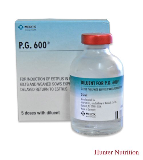  PG600 