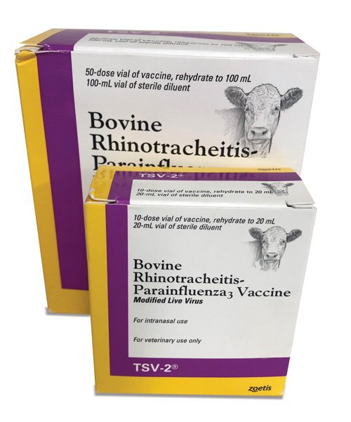 TSV-2 INTERNASAL VACCINE