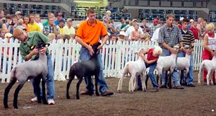 indiana reserve champions 2001
