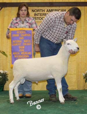 North American Livestock Exchange 2010