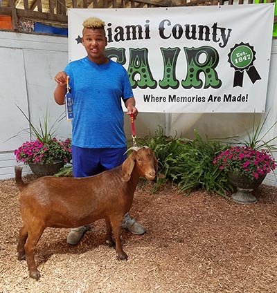 Reserve Grand Champion