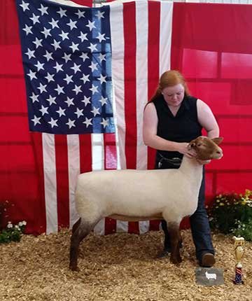 Julie Munsey 2014 All American Junior Show