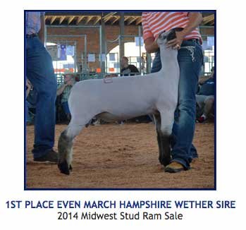 2014 Midwest Ram Show
