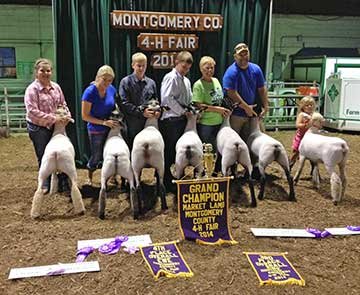 Mitchell Family 2014 Lambs